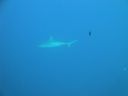 DSC00674.JPG