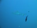 DSC00675.JPG
