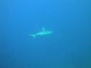 DSC00677.JPG