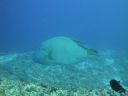 DSC00678.JPG