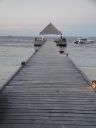 DSC00702.JPG