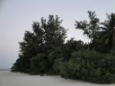 DSC00703.JPG