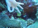 DSC00713.JPG