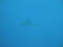 DSC00722.JPG