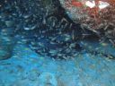 DSC00723.JPG