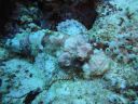 DSC00729.JPG