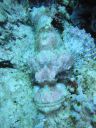 DSC00730.JPG
