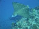 DSC00737.JPG