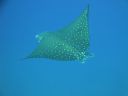 DSC00738.JPG