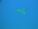 DSC00739.JPG