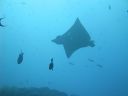 DSC00740.JPG