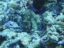 DSC00744.JPG