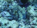 DSC00745.JPG