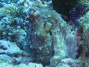 DSC00746.JPG