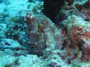 DSC00747.JPG