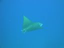 DSC00750.JPG