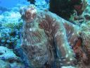 DSC00754.JPG