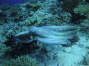 DSC00756.JPG