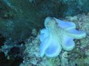 DSC00758.JPG