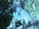 DSC00759.JPG