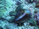 DSC00760.JPG