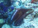 DSC00762.JPG