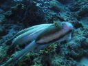 DSC00763.JPG