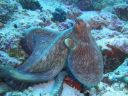 DSC00764.JPG