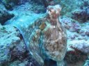 DSC00765.JPG