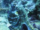 DSC00766.JPG