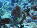 DSC00767.JPG