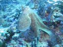 DSC00768.JPG
