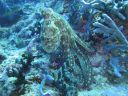 DSC00769.JPG