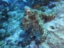 DSC00771.JPG