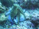 DSC00773.JPG