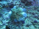 DSC00774.JPG