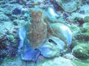 DSC00775.JPG
