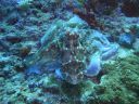 DSC00776.JPG