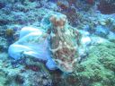 DSC00777.JPG