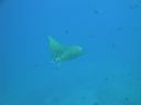 DSC00779.JPG