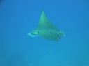 DSC00781.JPG