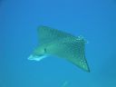 DSC00782.JPG