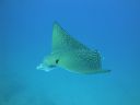 DSC00784.JPG