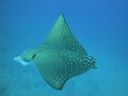 DSC00785.JPG