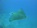 DSC00786.JPG