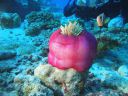DSC00790.JPG