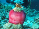DSC00791.JPG