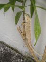 DSC00804.JPG