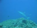 DSC00808.JPG