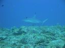 DSC00809.JPG